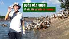 Vịt Biển Đoàn Văn Vươn lên Mẹt 8 Món - Ship Tận Nhà