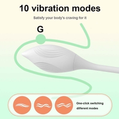 SMT2789 - Máy rung hút 2 đầu có 10 chế độ sạc điện dài 29cm