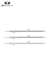 SMT4237 - Sounding niệu đạo inox không gỉ với chuỗi bi liền dài 240mm