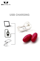 SMT4493 - Trứng rung có dây cỡ nhỏ 2 đầu sạc USB chất liệu nhựa