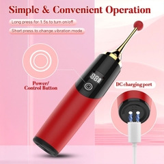 SMT5103 - Bút rung silicon kích thích điểm G dài 18cm có đầu thay thế