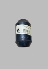Ắc trục cân bằng sau Howo