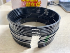 Xéc măng bộ hơi WD615