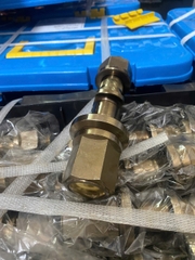 Tắc kê Mooc 16T (màu vàng)