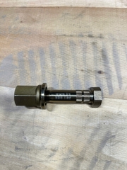 Tắc kê sau MCP 16