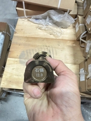 Tắc kê sau MCP 16