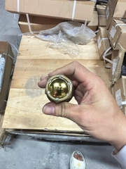 Tắc kê sau MCP 16