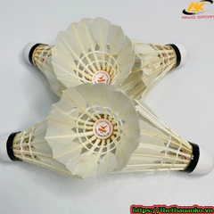 Cầu lông Hải Yến loại tốt nhất hộp 6 quả