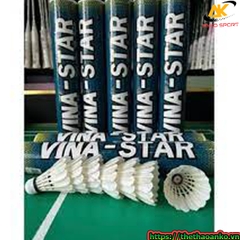 Cầu Vinastar loại 1 giá tốt nhất tại Việt Nam