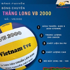 Quả bóng chuyền Thăng Long thi đấu VB2000