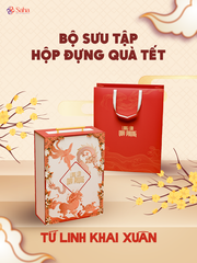 Hộp Đựng Quà Tết SAHA Kèm Túi Size 30*40*10cm