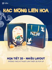 Hộp Đựng Quà Tết SAHA Kèm Túi Size 30*40*10cm