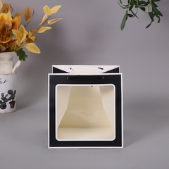 Túi giấy cửa sổ hình vuông thiết kế kiểu Carton 2D