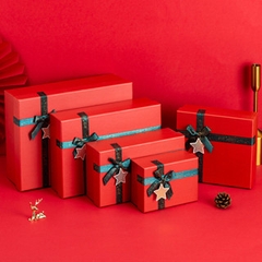 Combo Hộp Quà Giấy Kèm Túi Cao Cấp Màu Đỏ Nơ Xanh Lá Chủ Đề Giáng Sinh Noel - có rơm đèn - 17x12x8