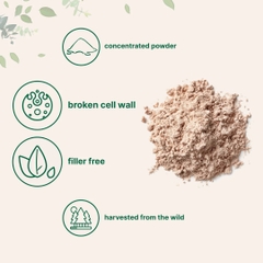 Pine Pollen Powder, 6 oz