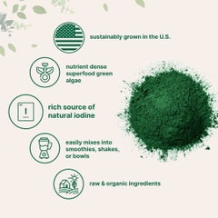 Organic Kelp Powder Supplement