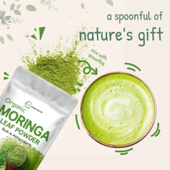 Organic Moringa Powder 2 Pounds