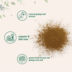 Organic Ginkgo Biloba Powder