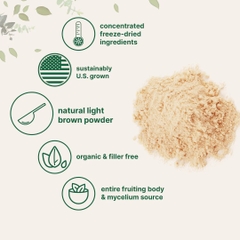 Organic Lions Mane Mushroom Supplement Powder
