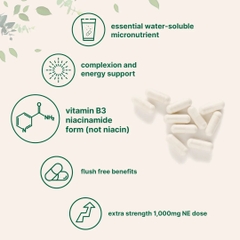 Vitamin B3 Niacinamide, 400 Capsules