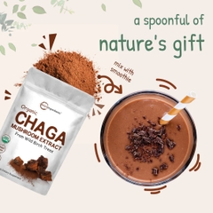 Organic Chaga Mushroom Extract 100:1 Powder, 10 Ounce
