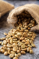 Robusta Yellow Honey S16+