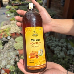 MẬT ONG HOA RỪNG, MẬT ONG HOA NHÃN - TIÊU CHUẨN OCOP