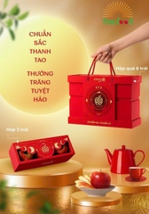 Hộp quà 6 Trái Táo ENVY