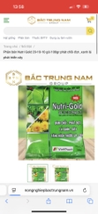 Phân bón Nutri Gold 29-10-10 gói 100gr phát chồi đọt , xanh lá phát triển cây