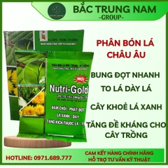 Phân bón Nutri Gold 29-10-10 gói 100gr phát chồi đọt , xanh lá phát triển cây