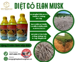 Thuốc diệt cỏ ELON MUSK