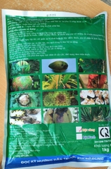 M8 ẤN ĐỘ 1KG PHÒNG TRỊ NẤM BỆNH PHỔ RỘNG