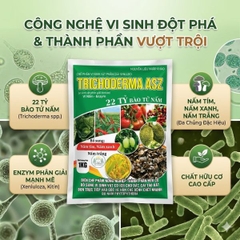 Chế phẩm vi sinh Trichoderma – Chuyên ủ phân hữu cơ, giảm mùi, nhanh hoai mục