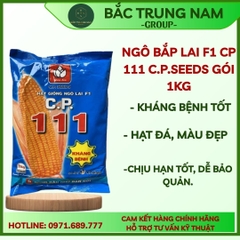 HẠT GIỐNG NGÔ LAI C.P.111