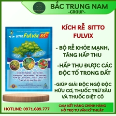 Kích rễ SITTO FULVIX (gói 100g)