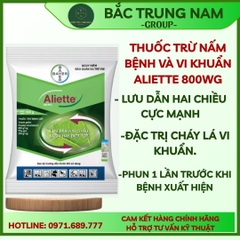 Thuốc Trừ Bệnh Thối Quả Aliette 800Wg 100G