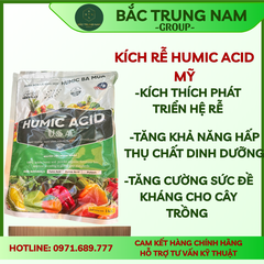 Kích rễ HUMIC ACID MỸ