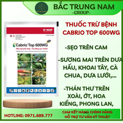 Thuốc Trừ Bệnh Cabrio Top 600WG ( Gói 100g )
