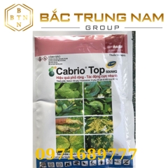 Thuốc Trừ Bệnh Cabrio Top 600WG ( Gói 100g )