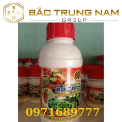 Thuốc Trừ Sâu Bọ Cạp - KTEDO 120EW