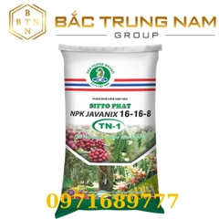 SITTO PHAT TN1 ( JAVANIX 16-16-8) (Bao 50kg)