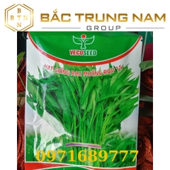 Hạt Giống Rau Muống RQV lá tre 50g