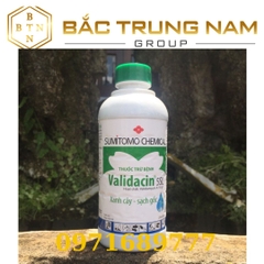 Thuốc trừ bệnh Validacin 5sl chính hãng Nhật Bản (chai450ml)