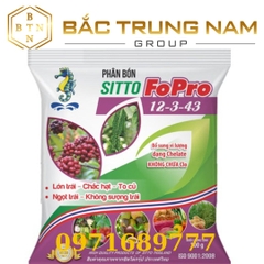 Phân bón lá NPK hòa tan Sitto FoPro 12-3-43+TE gói 100g