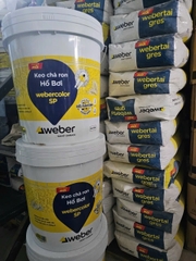 WeberColor SP 18.2kg - Keo chà ron gạch chuyên dụng cho bể bơi