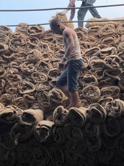 Bao tải đay - Bảo dưỡng bê tông. Bảo vệ và giữ ẩm cho cây