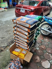 [Mã Dự Án] Buildmix Tile Glue CTA2 Grey 25kg - Keo dán gạch đá ốp lát. Ốp đến 800x800mm, lát đến 1000x1000mm