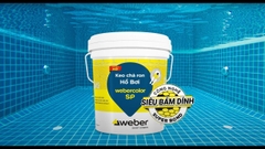 WeberColor SP 18.2kg - Keo chà ron gạch chuyên dụng cho bể bơi