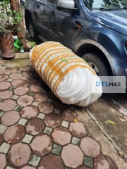 Xốp PE Foam Tròn Đặc Backer Rod Ø30mm | Dây Xốp Chèn Khe, Tạo Hình Decor, Handmade & May Mặc