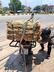 Bao tải đay - Bảo dưỡng bê tông. Bảo vệ và giữ ẩm cho cây